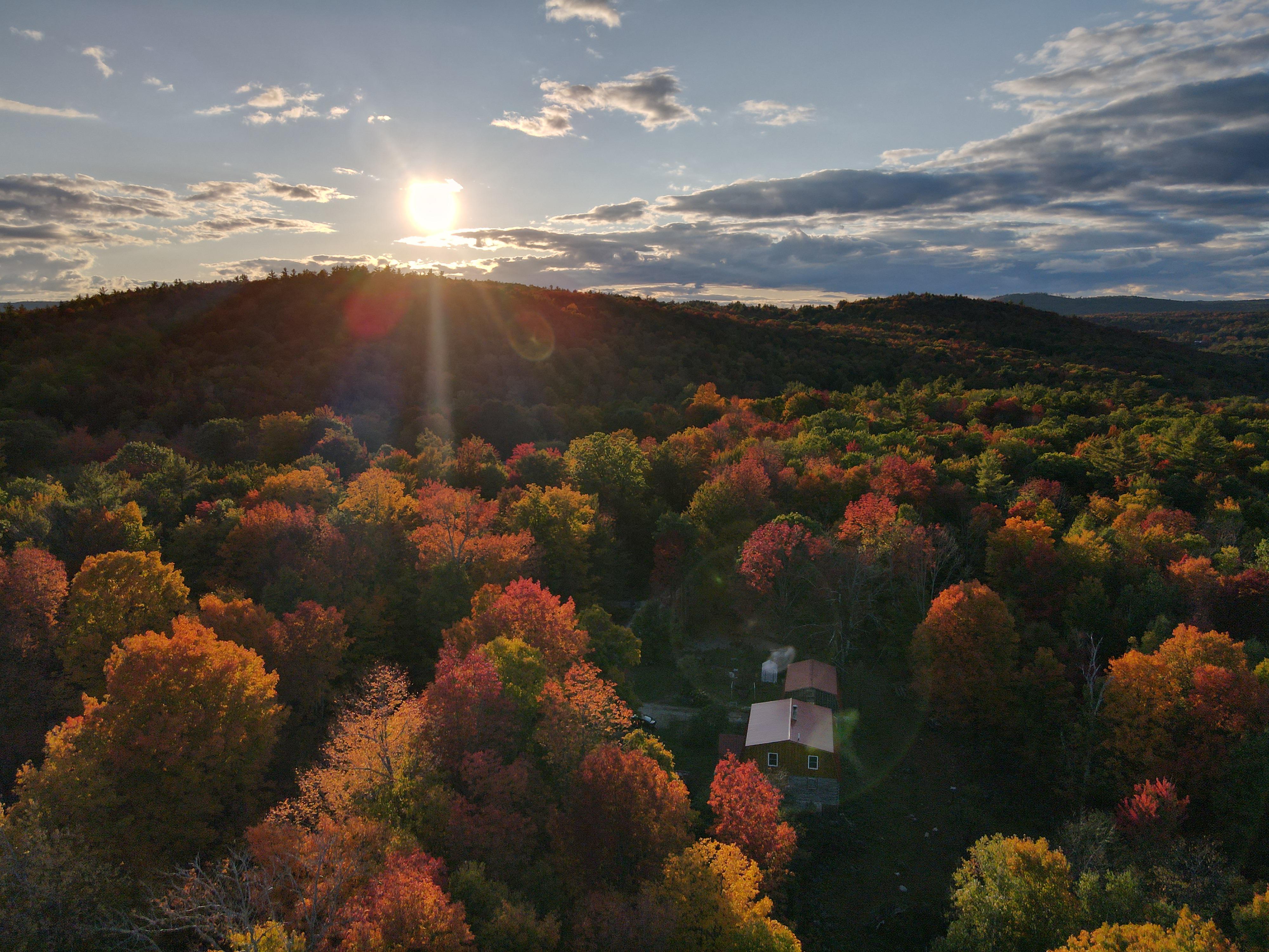 A quiet autumn sunset over my small farm/orchard r/sunset