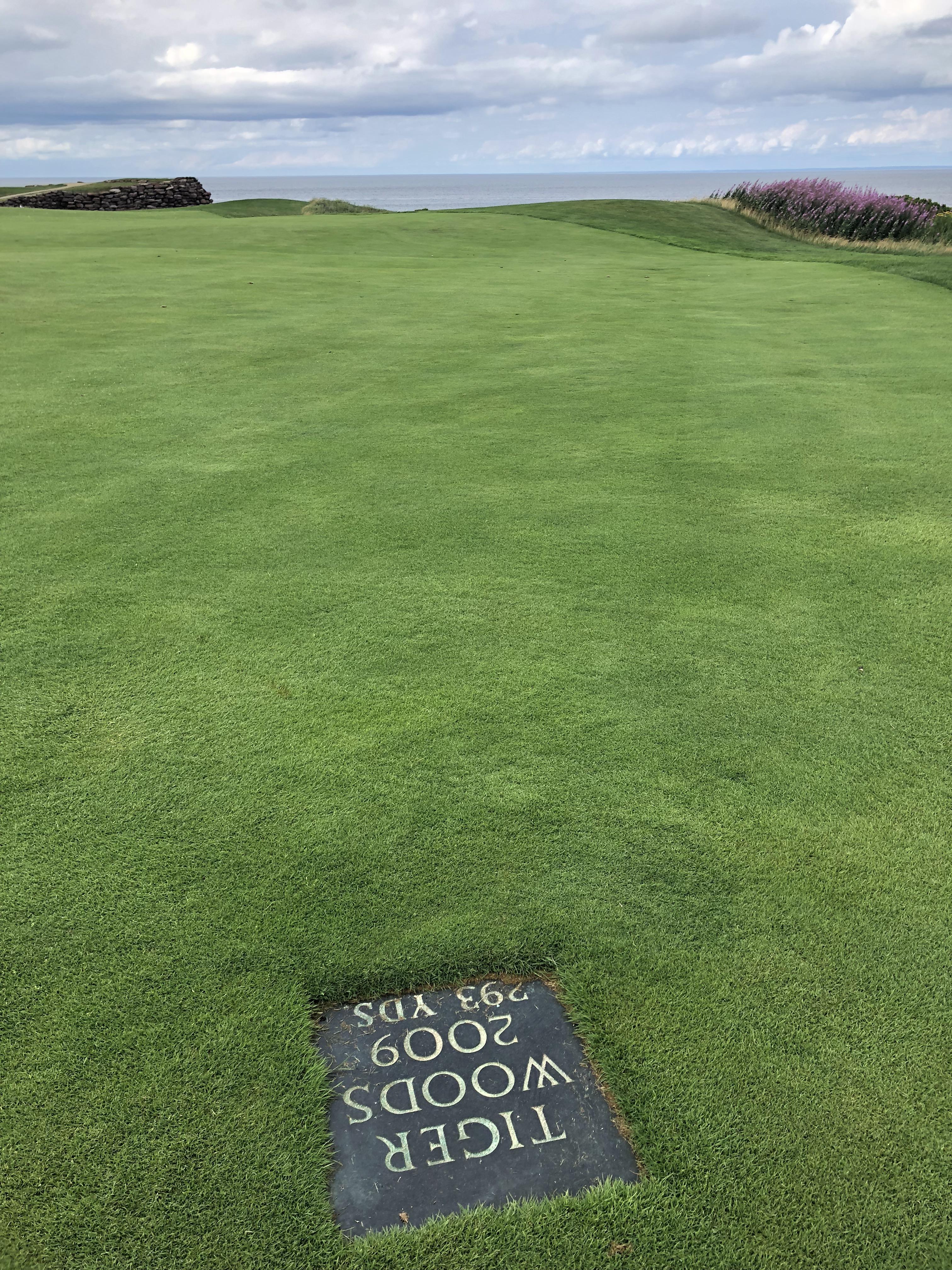 When The Golf Ball Goes Into The Ocean