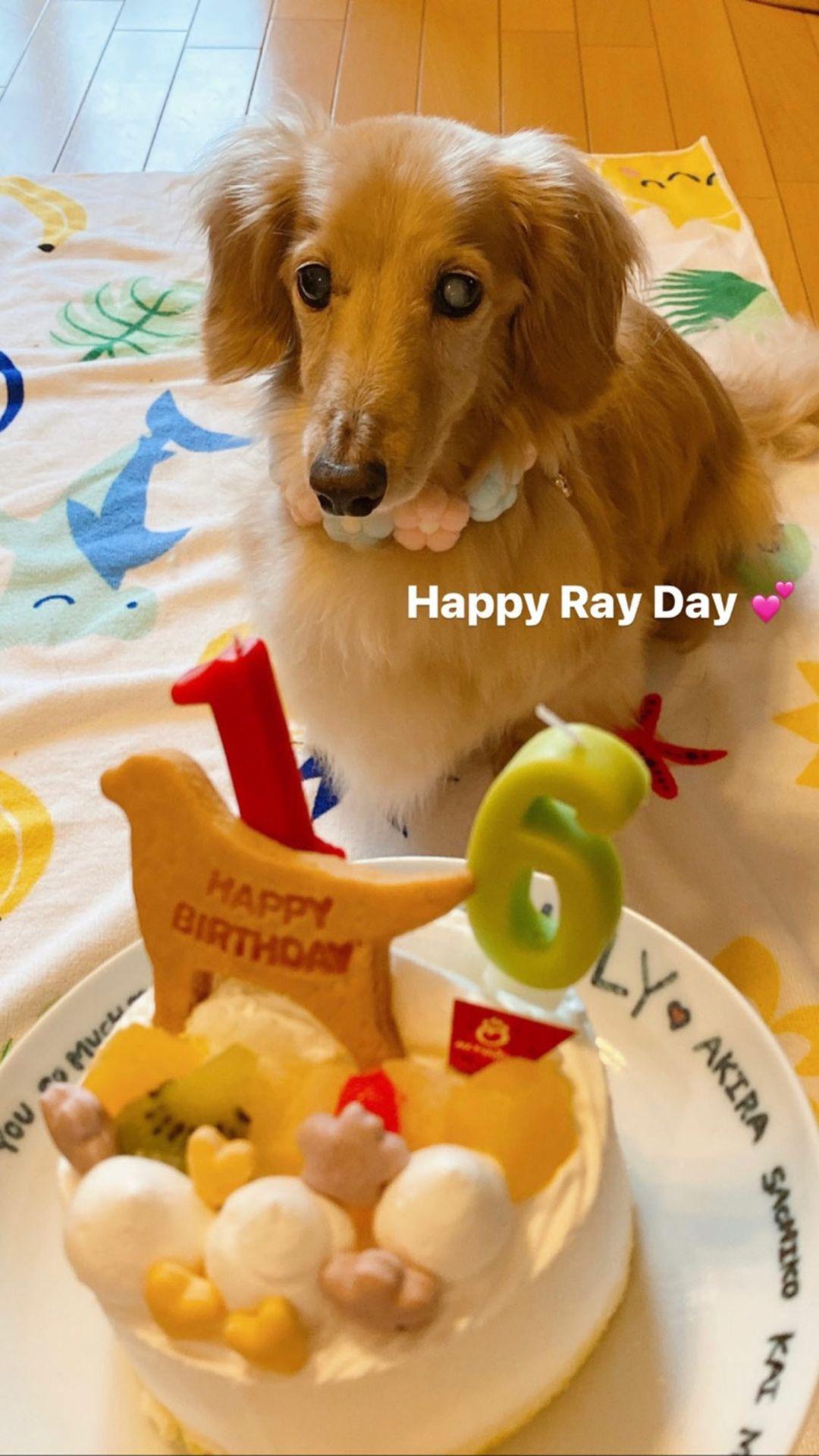 220712 Mina Instagram Story update “Happy Ray Day💕” twice
