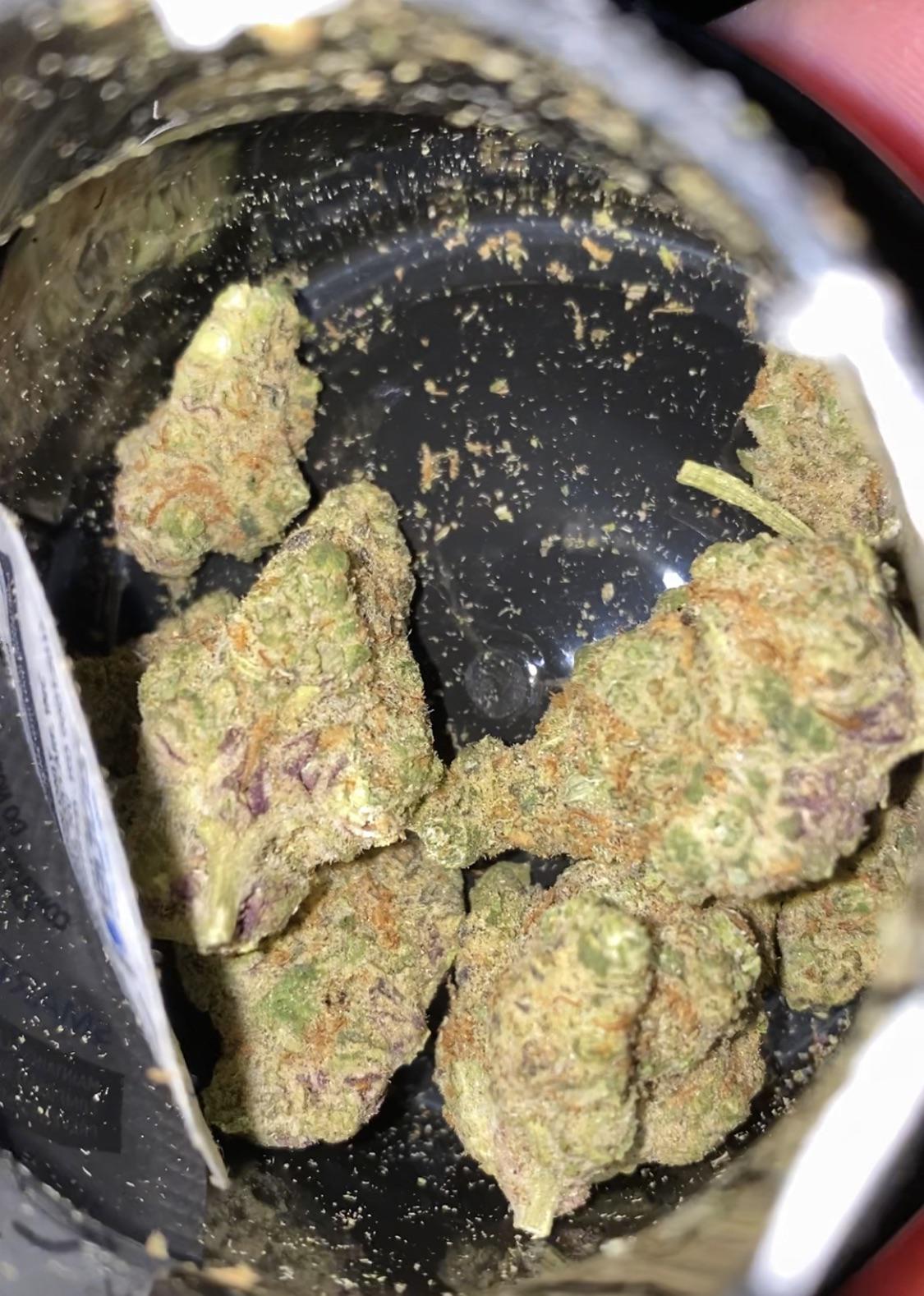 756 best Curaleaf images on Pholder | FL Medical Trees, New York MMJ