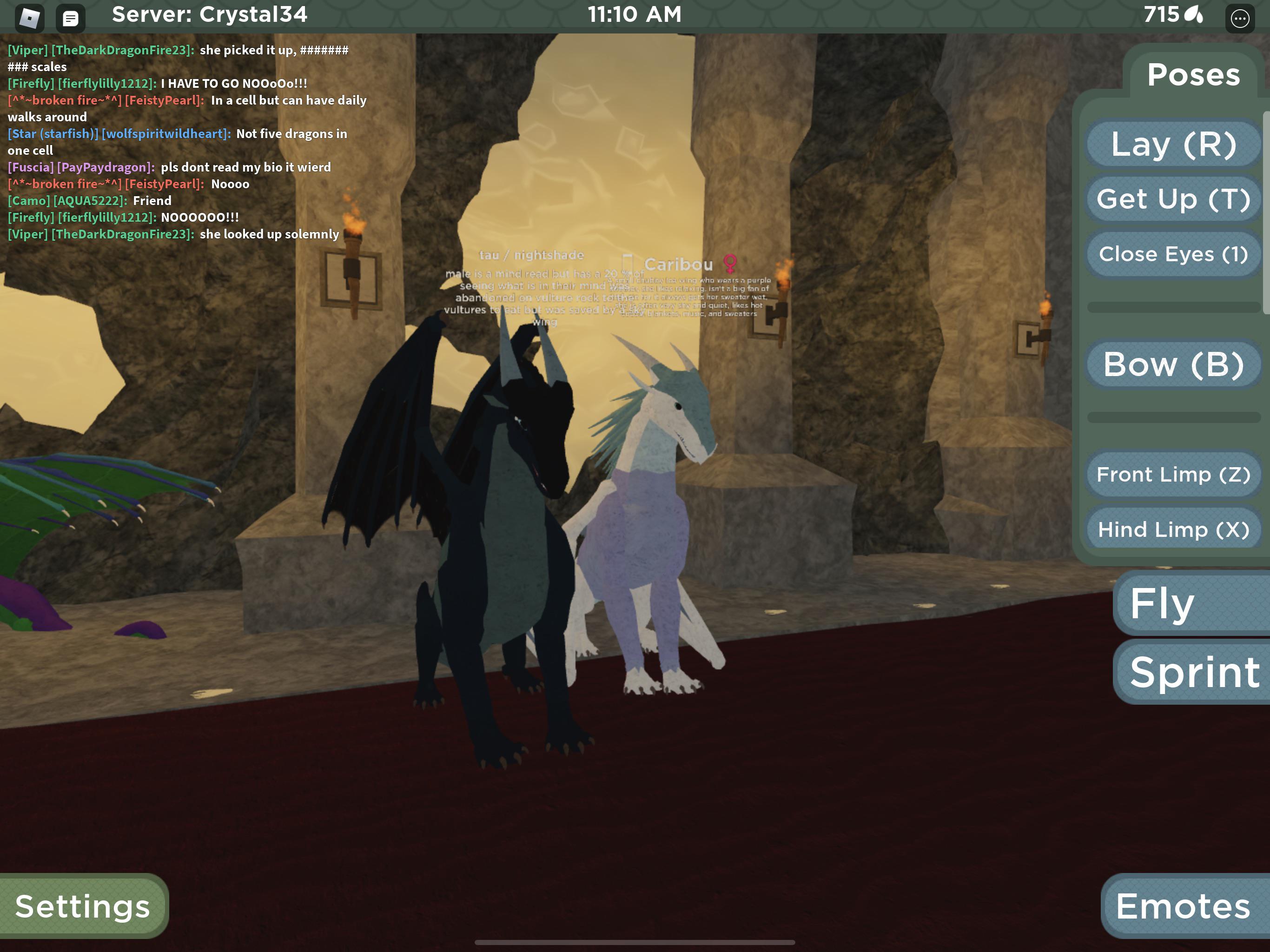 Got recognised on WOF Roblox XD r/WingsOfFire