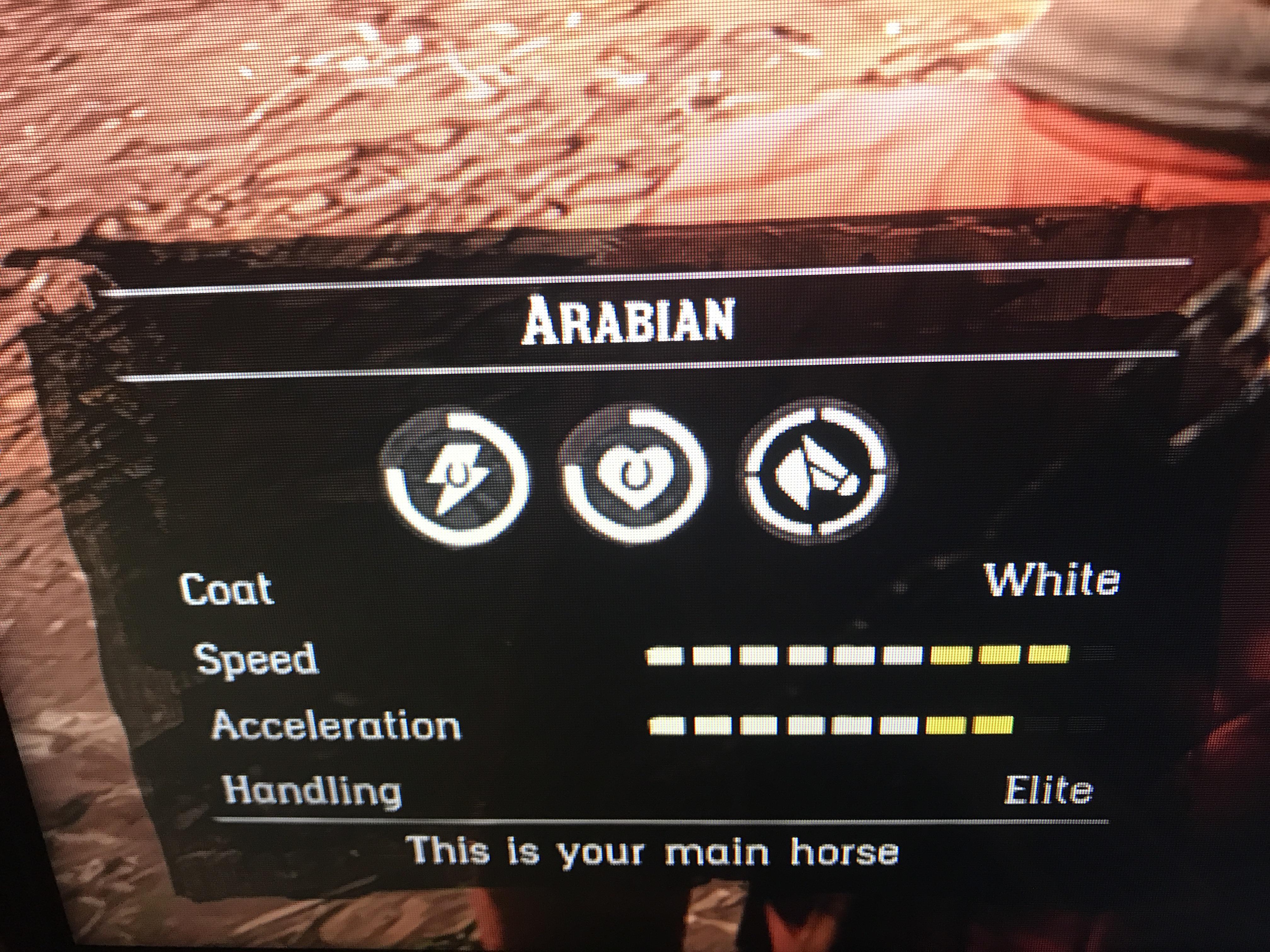 Finished doing the chance encounter horse races and managed to get max