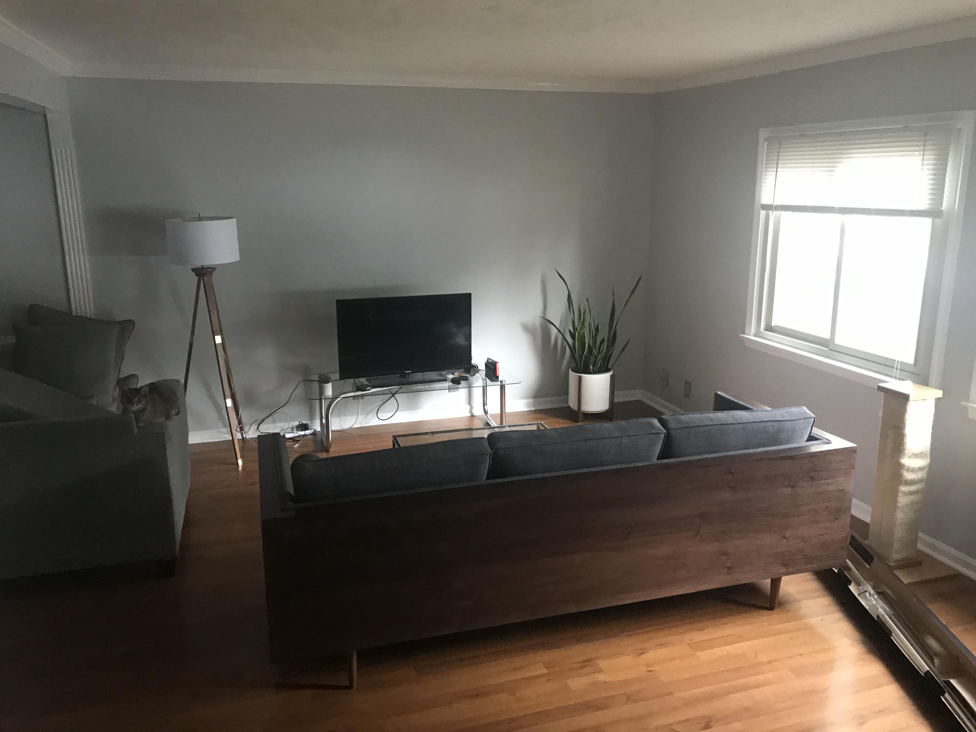 Rug and tv stand idea? ) r/DesignMyRoom