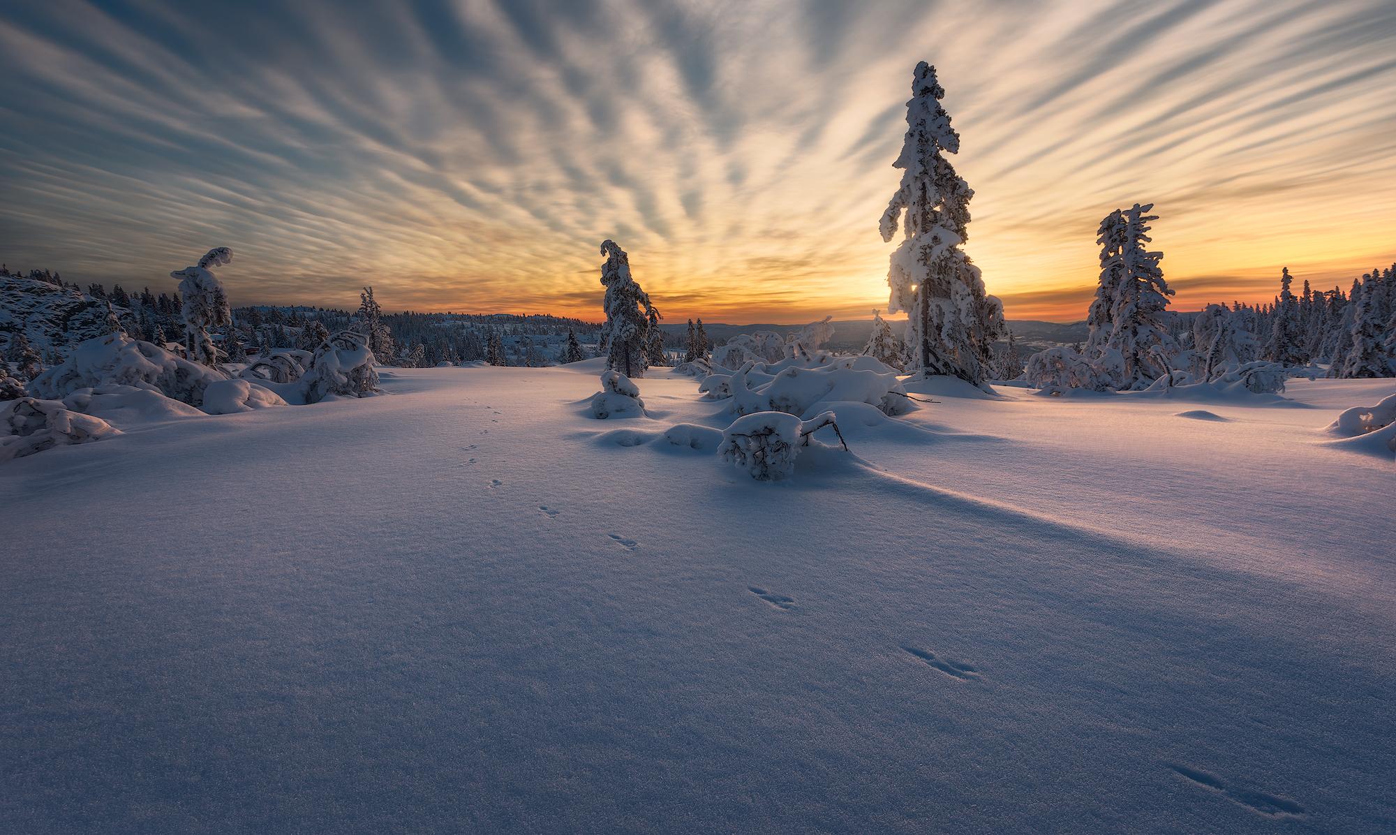One of my favorite winter sunrises in Kongsberg, Norway [OC] [2000x1196