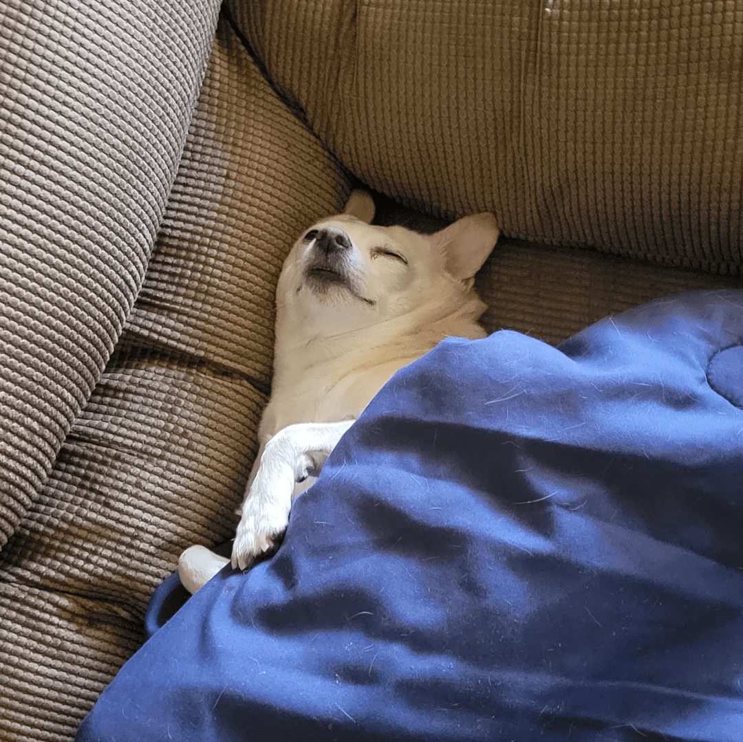 After keeping me up all night, here she is having the best sleep of her