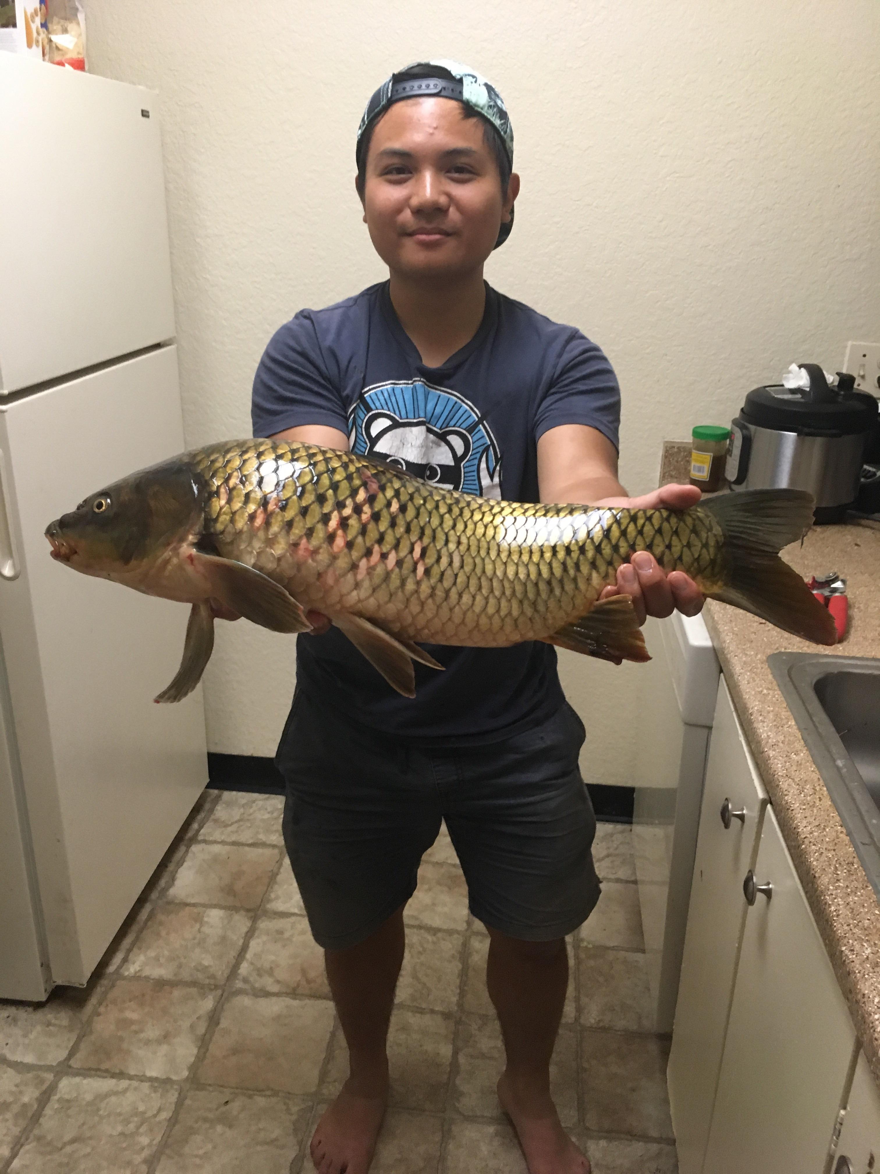 My first carp! Caught on some corn kernels Fishing