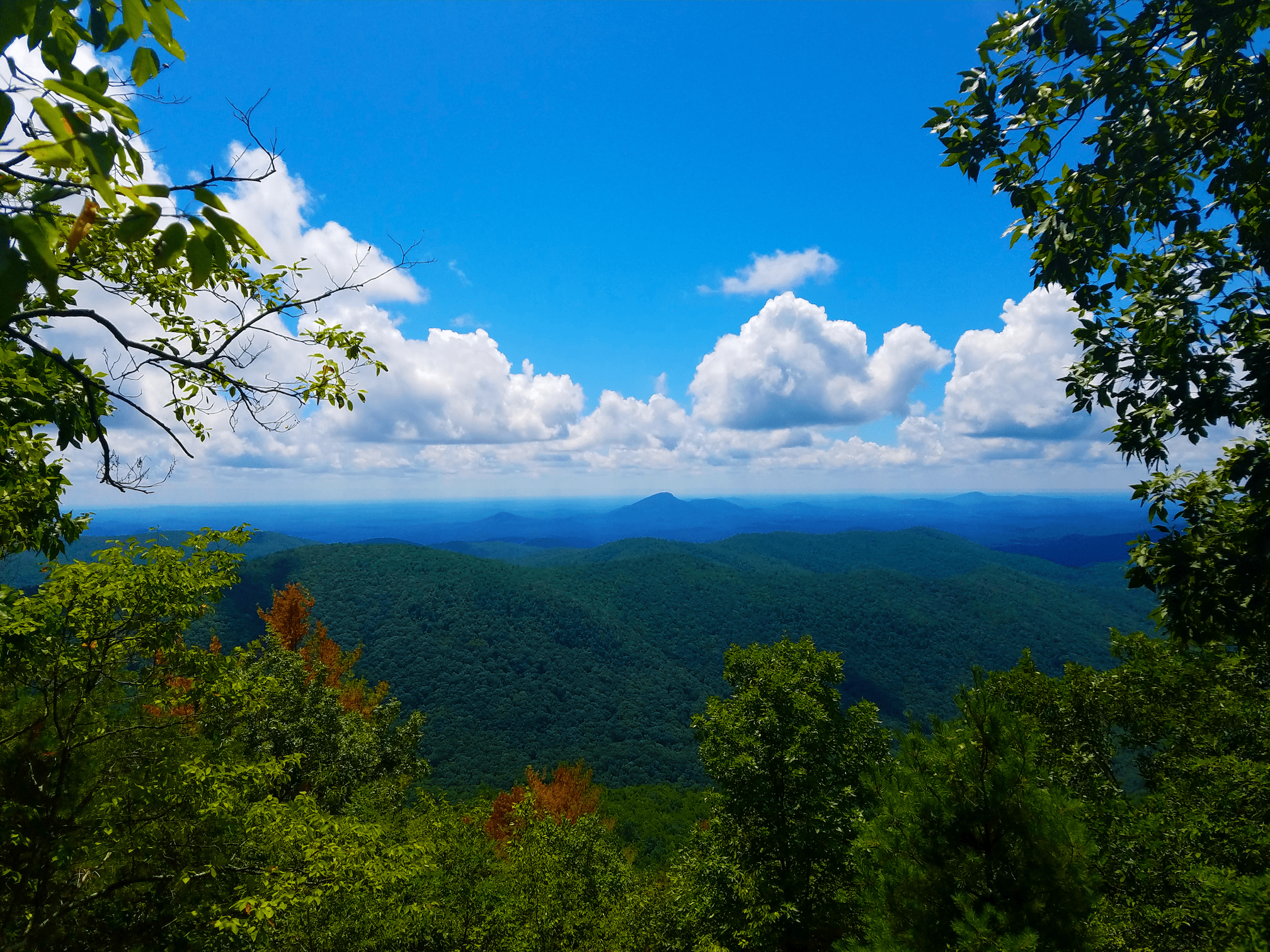 [OC]Rocky Mountain, Hard to believe this is only an hour's