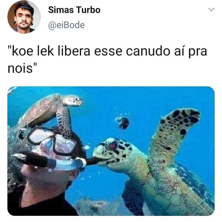 Falo nada... r/HUEstation