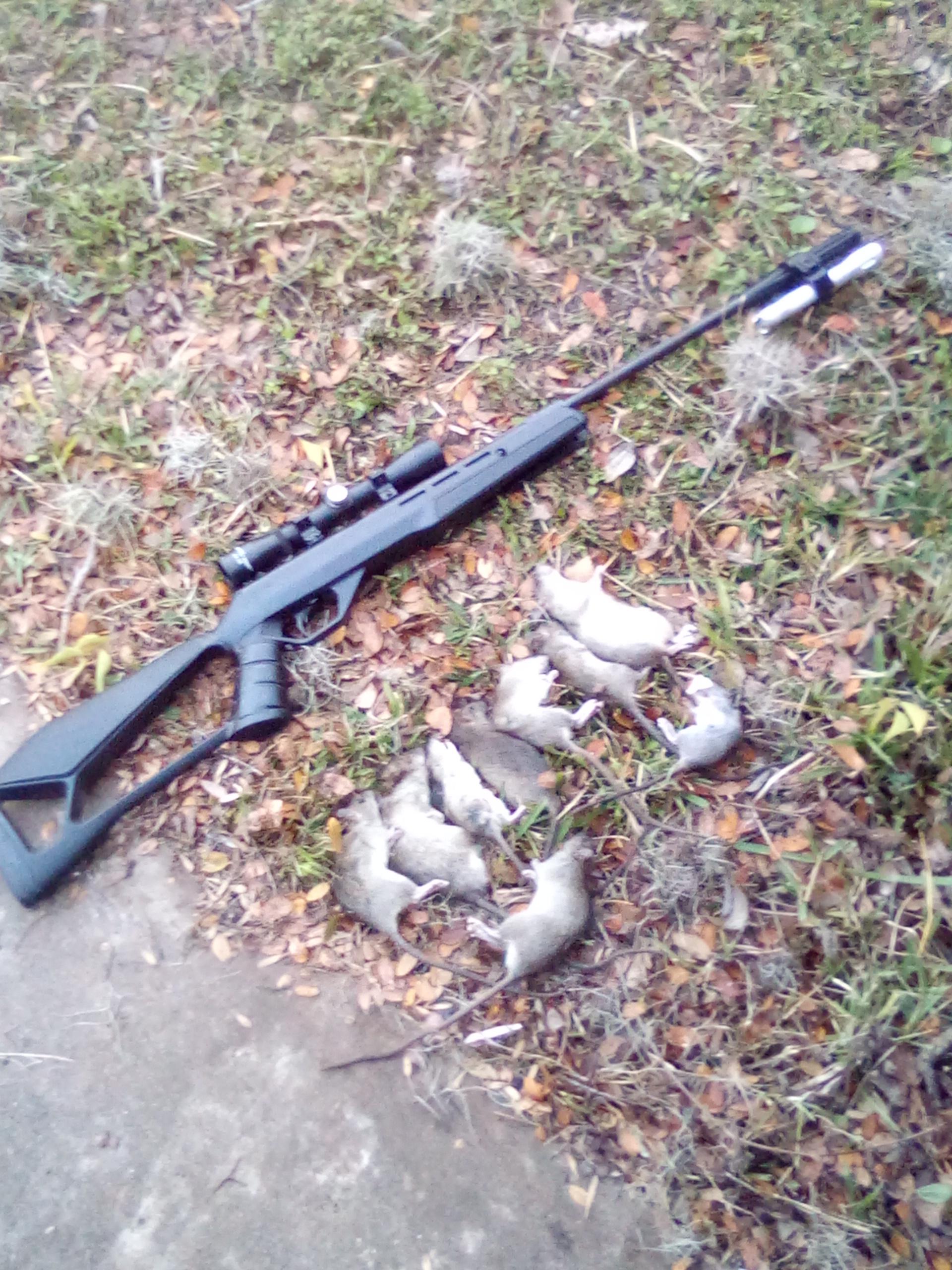 [Download 29+] Airsoft Gun Vs Rat