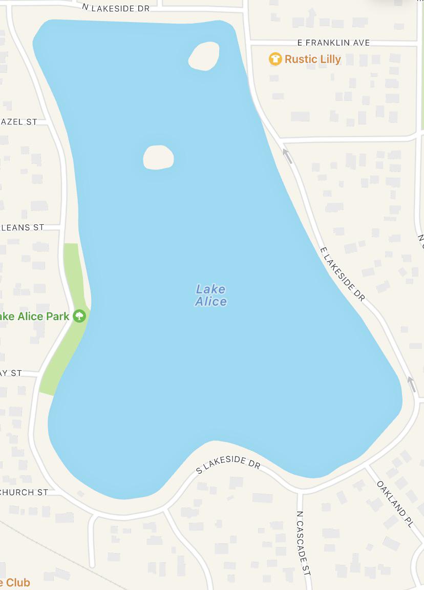 Behold! Lake Alice looks like a… yeah… r/MapPorn