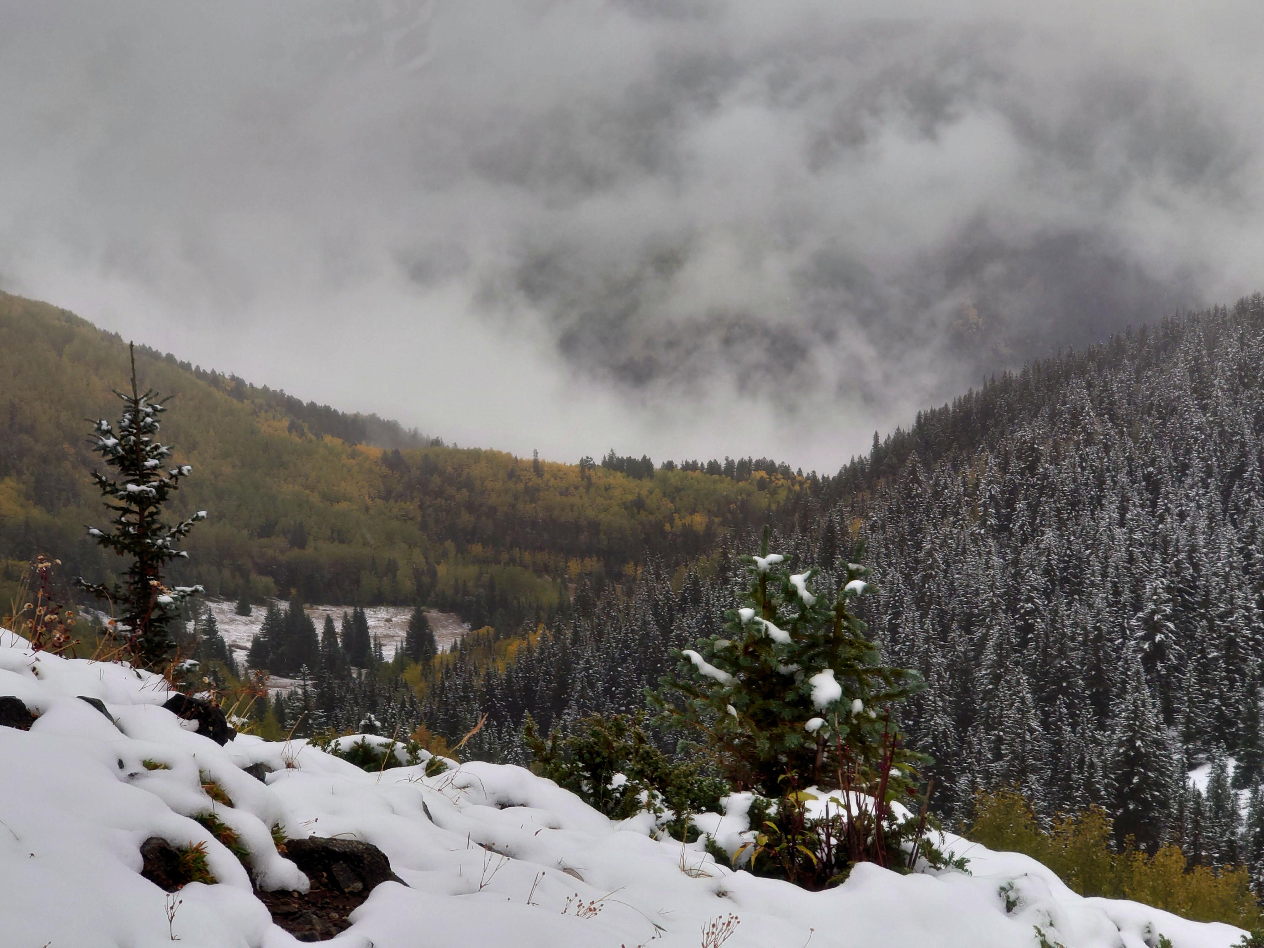 First snow! Carson National Forest, Taos Ski Valley, NM (OC) [3481x3024