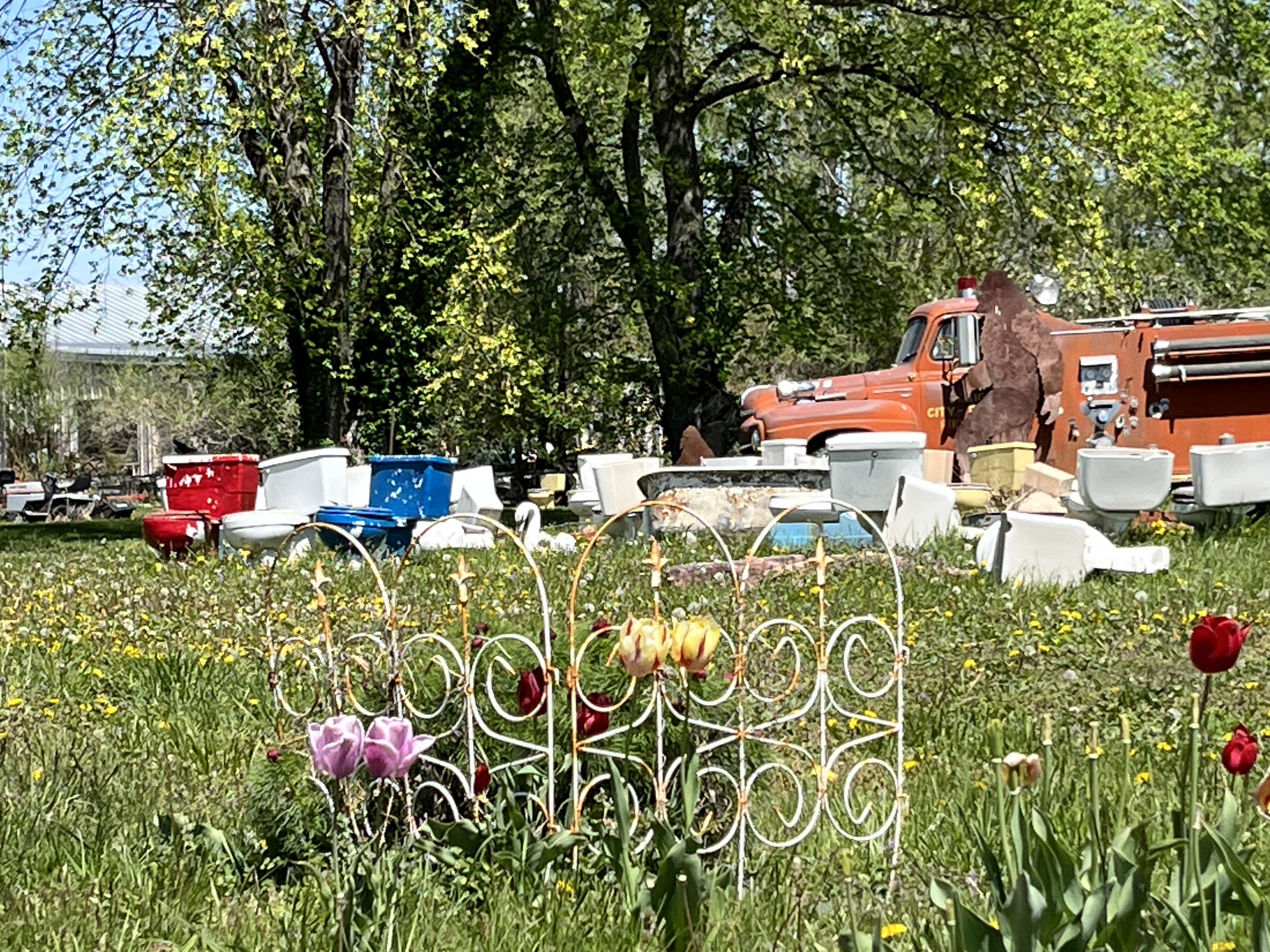 Tulips and toilets r/missouri