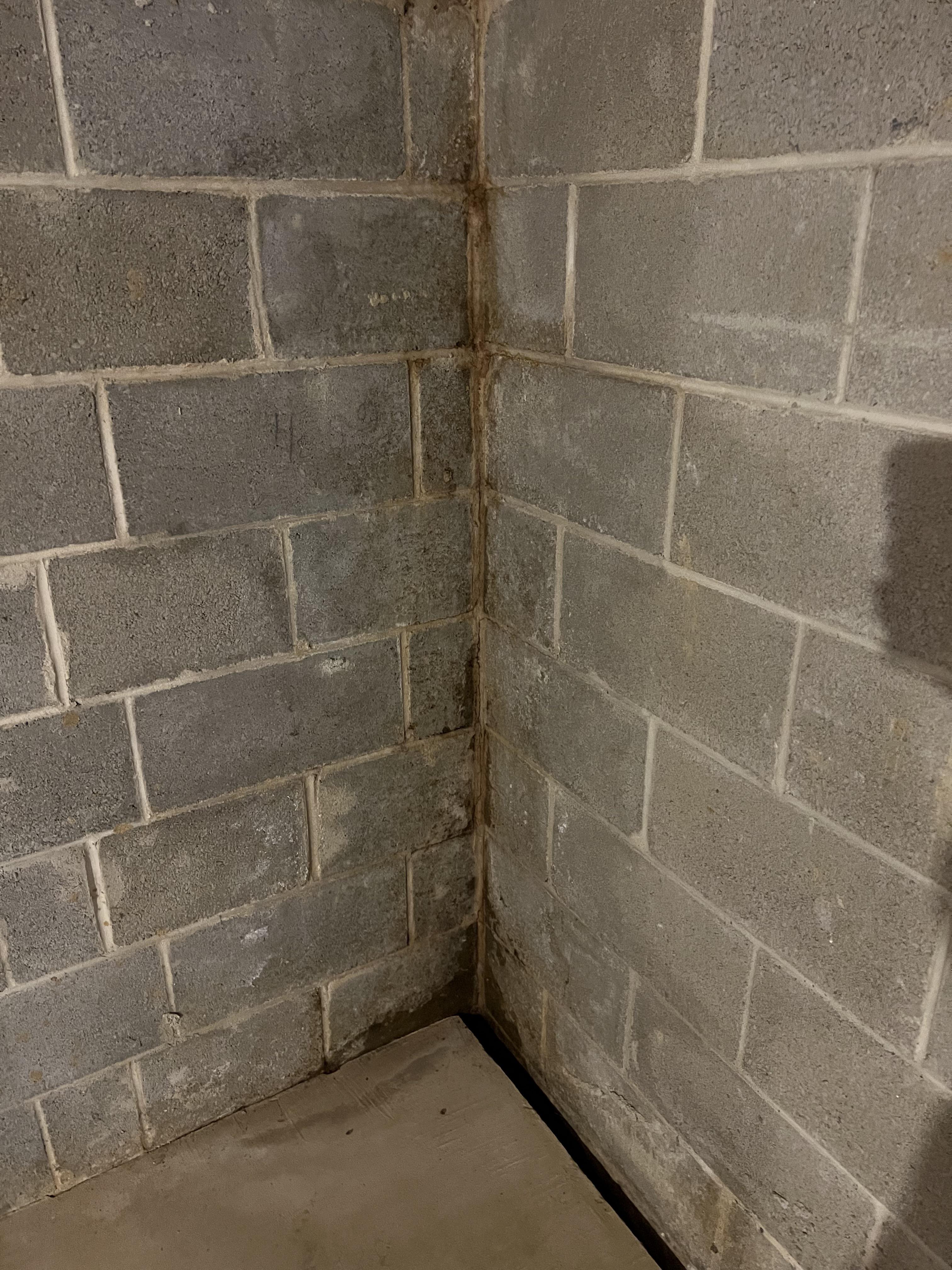 Is this moisture coming through concrete block fixable? If so, how? r