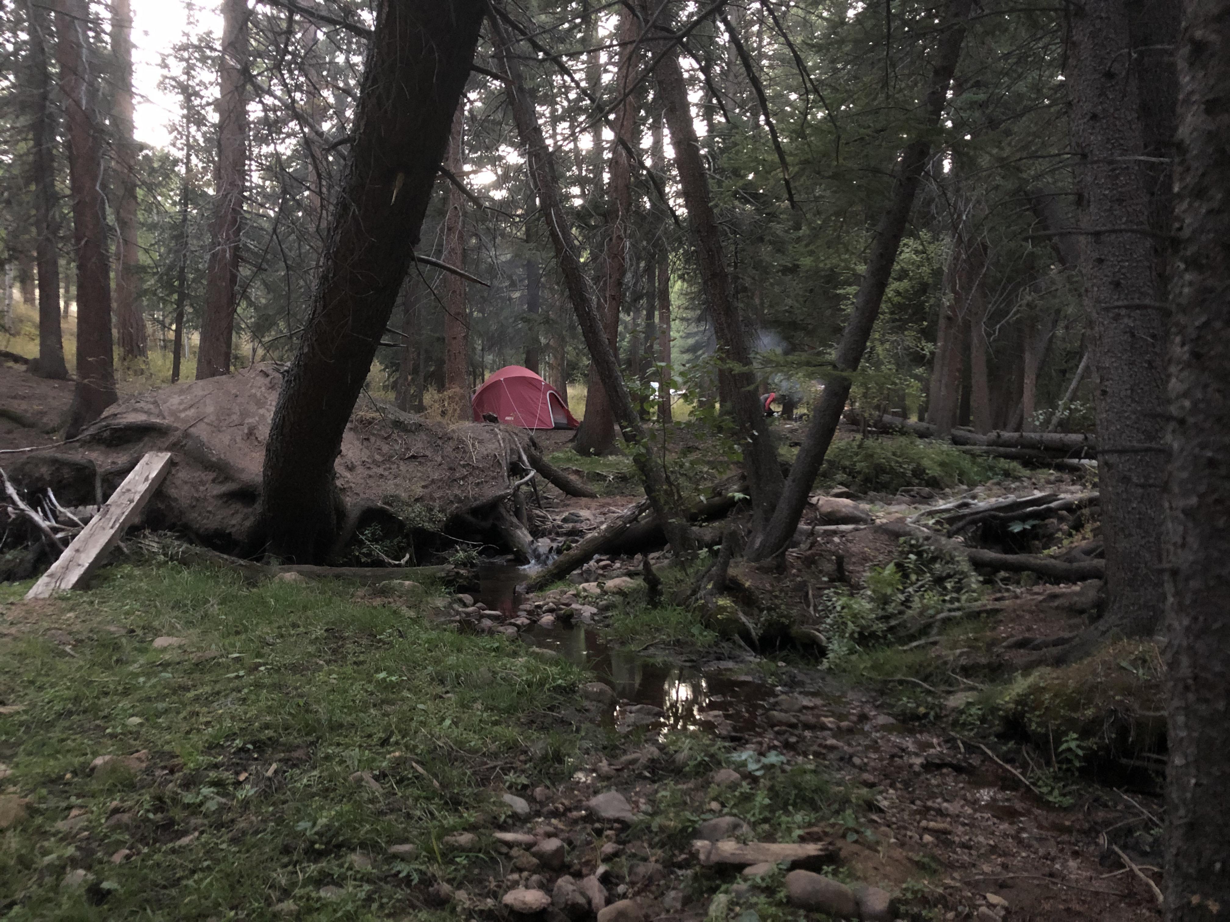Near Wigwam Creek in Pike National Forest r/camping
