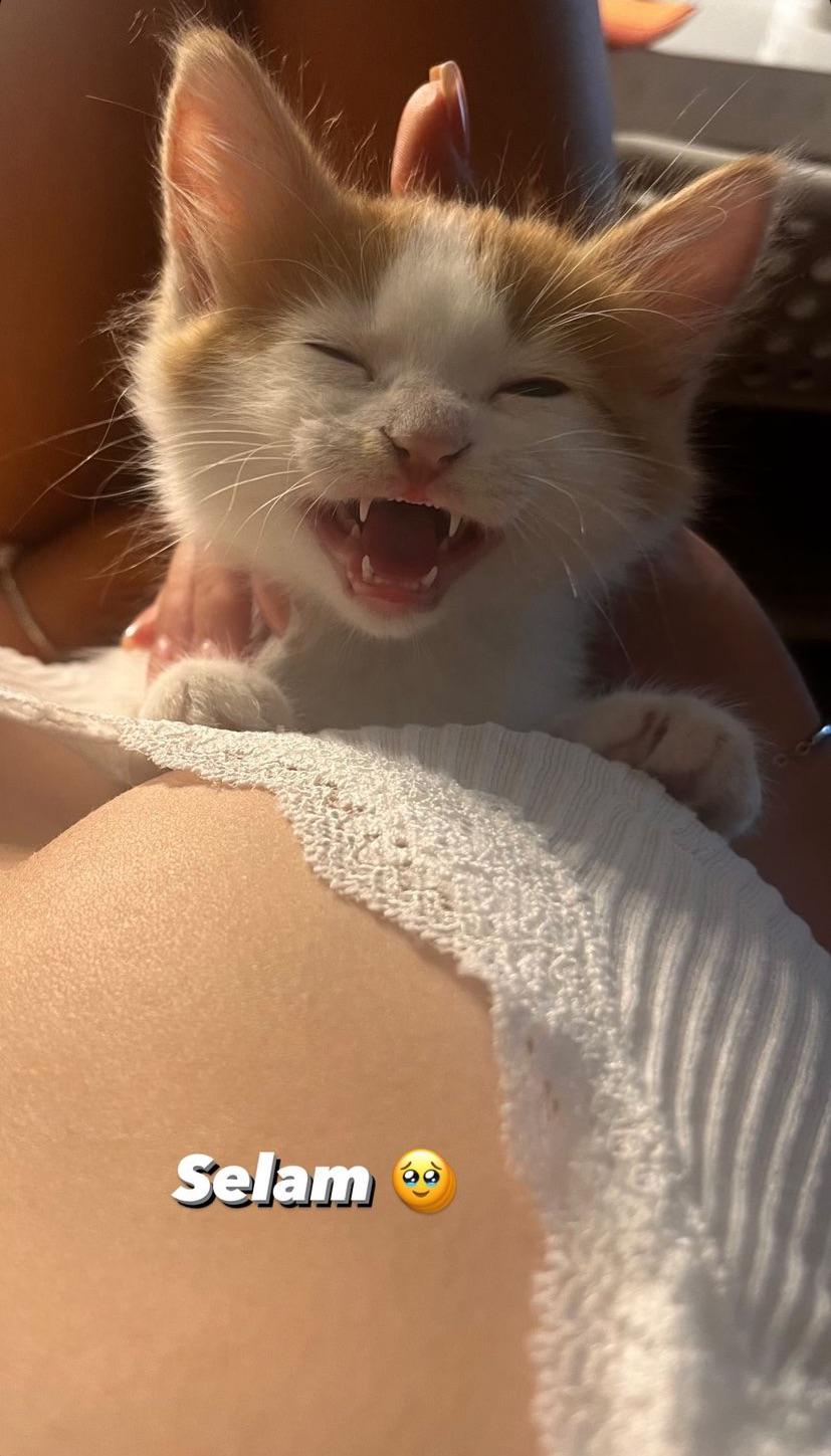 zeydcarey : TurkishChiqks