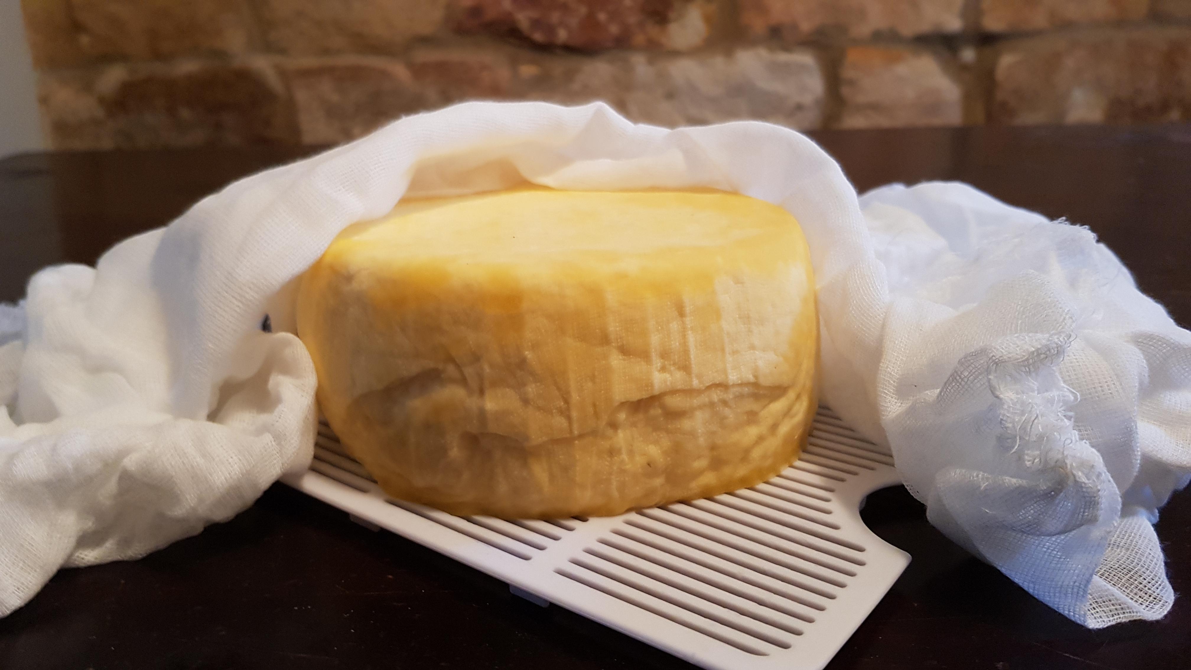 Homemade Colby during the drying process r/Cheese