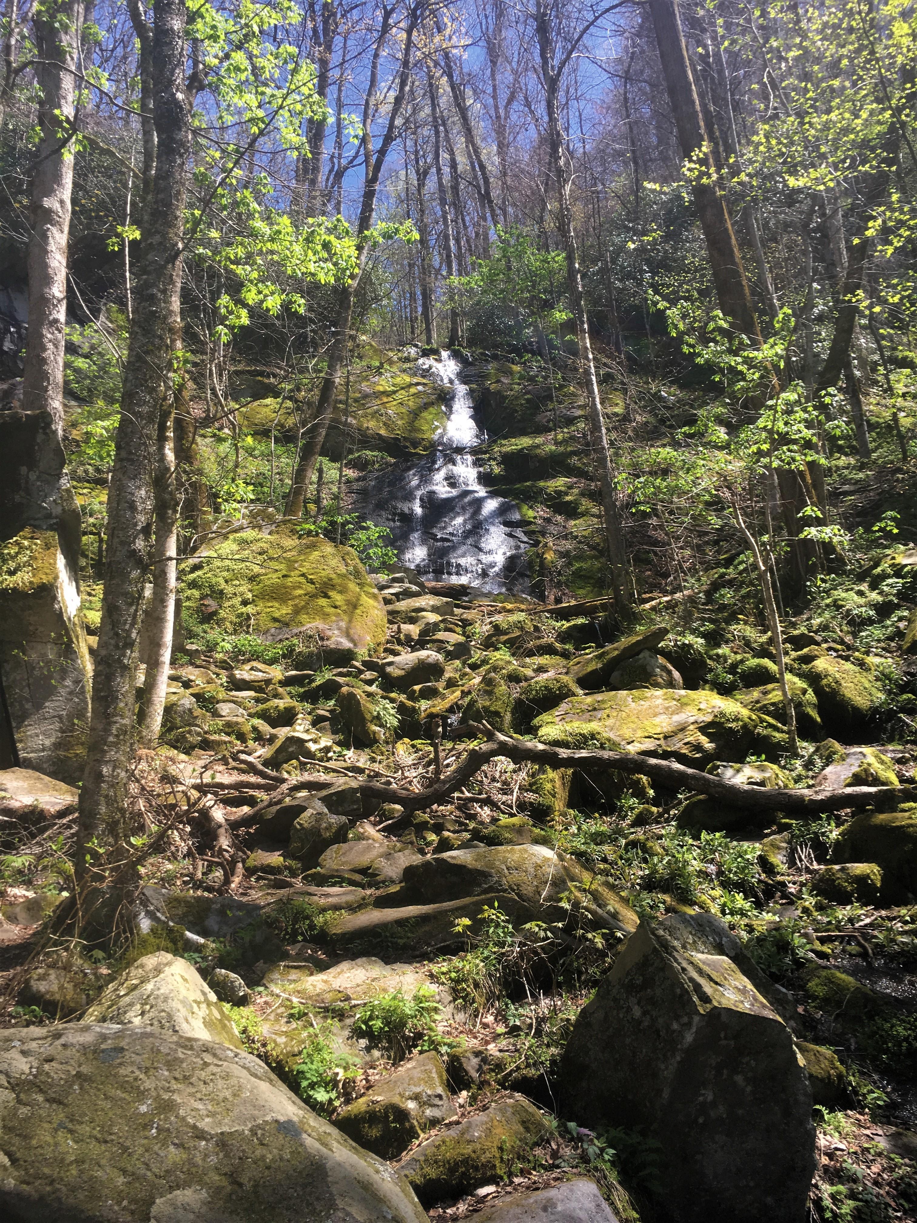 Smoky Mountain National Park, Gatlinburg TN r/hiking
