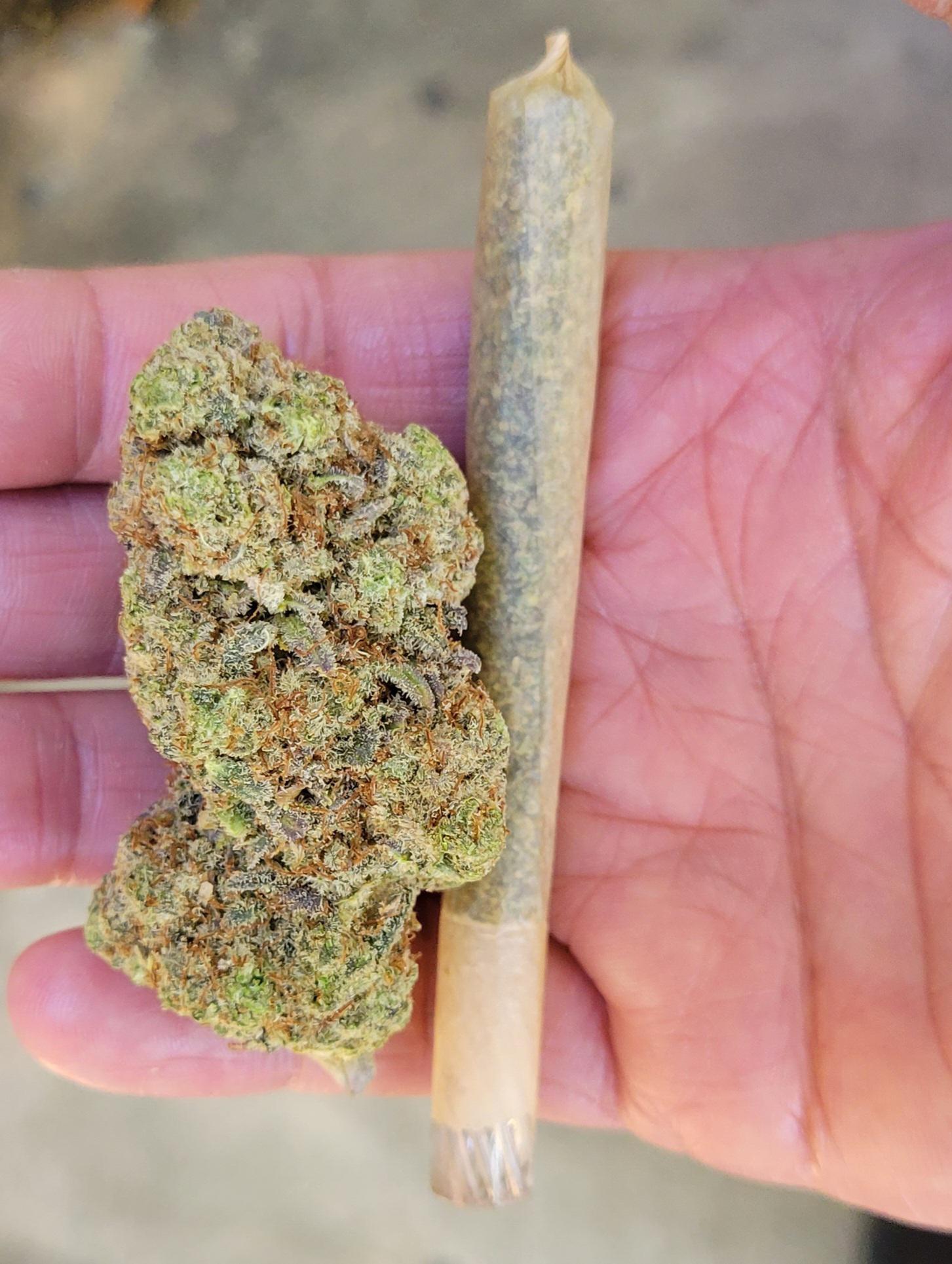 Freeze dried MN Tangie from Cornell Urban Agriculture r/hempflowers