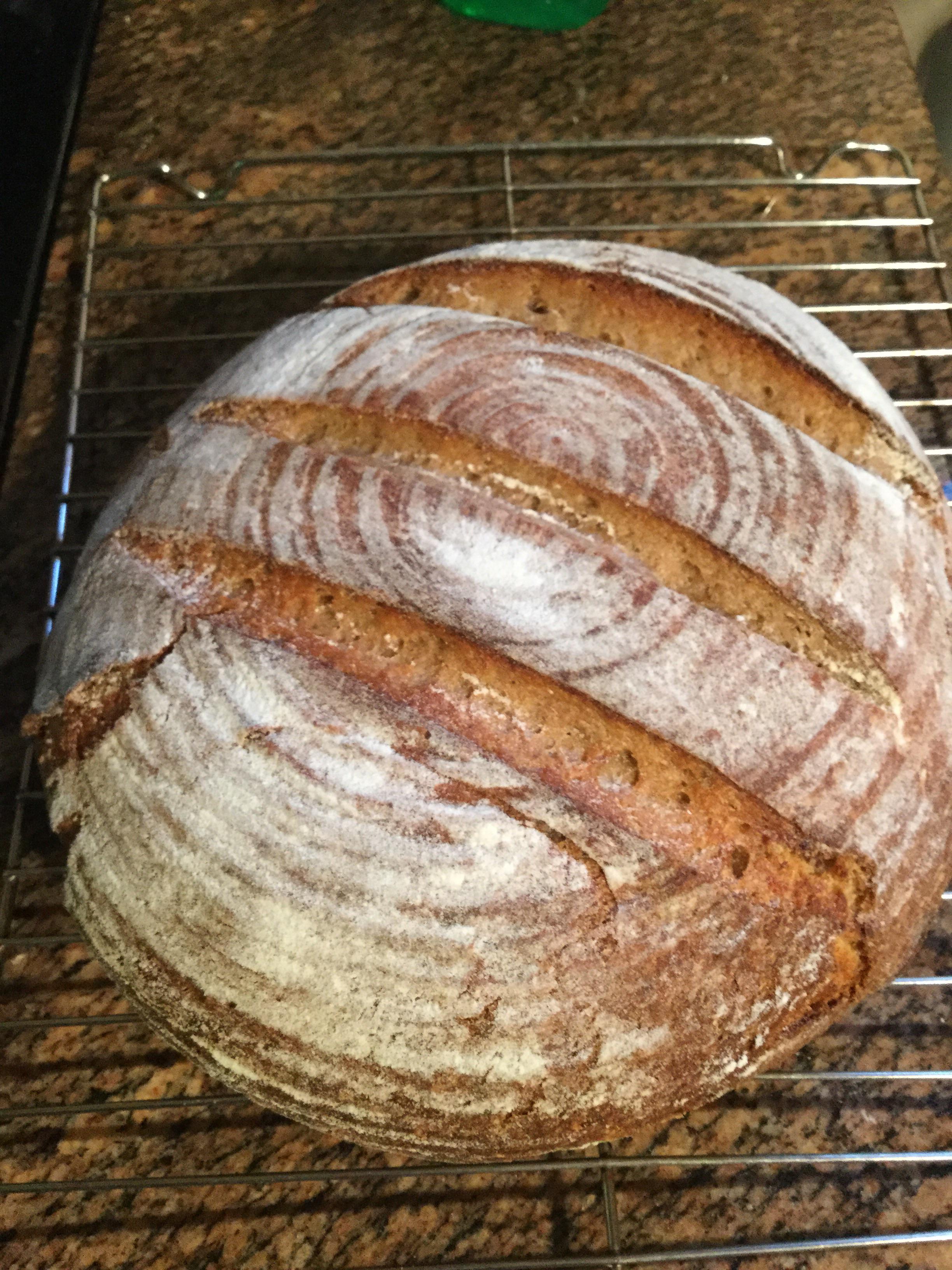 Sourdough with malted wheat flakes. Baked in a Pyrex dish turned upside down so the breads baked