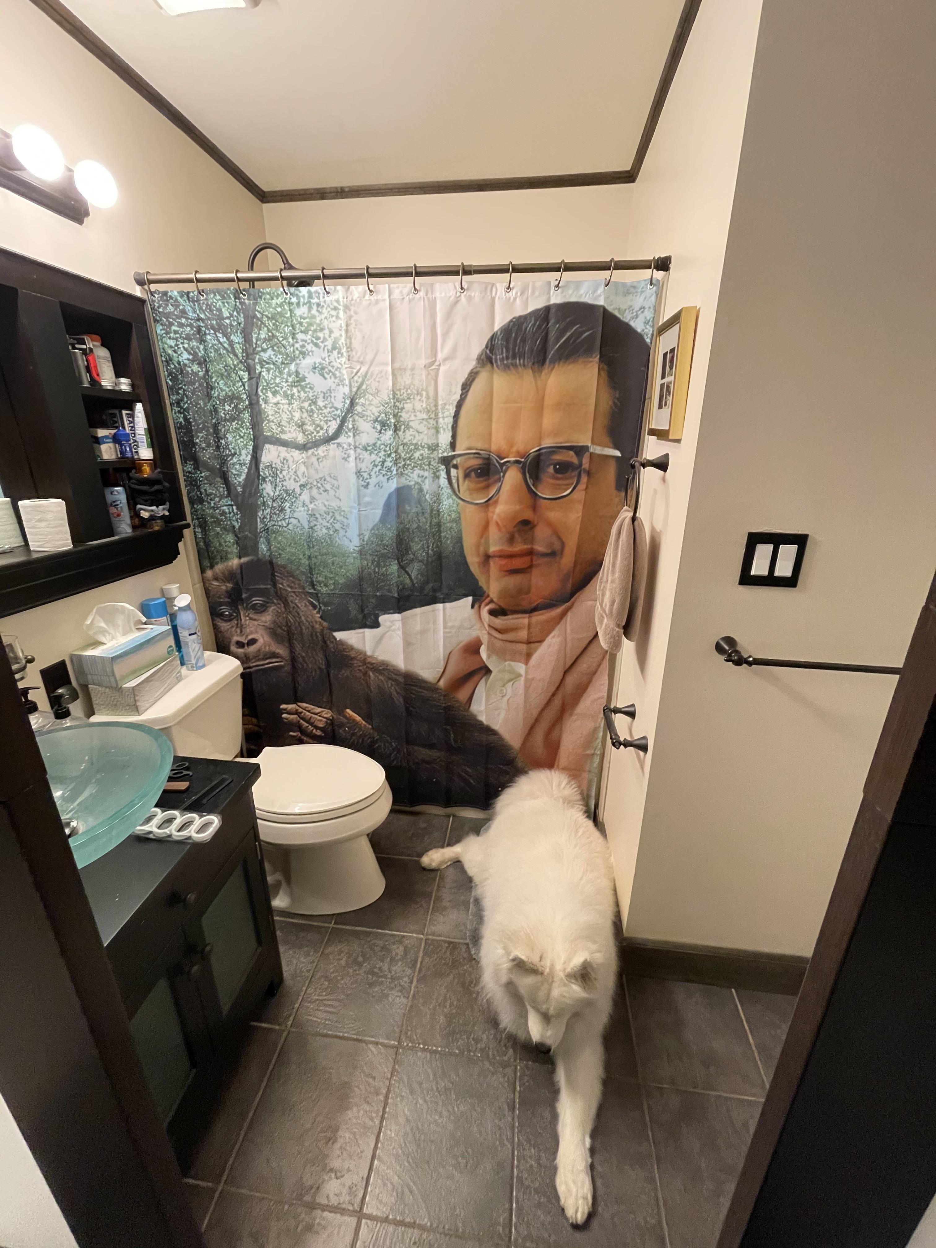 Upgraded my bathroom today r/pics