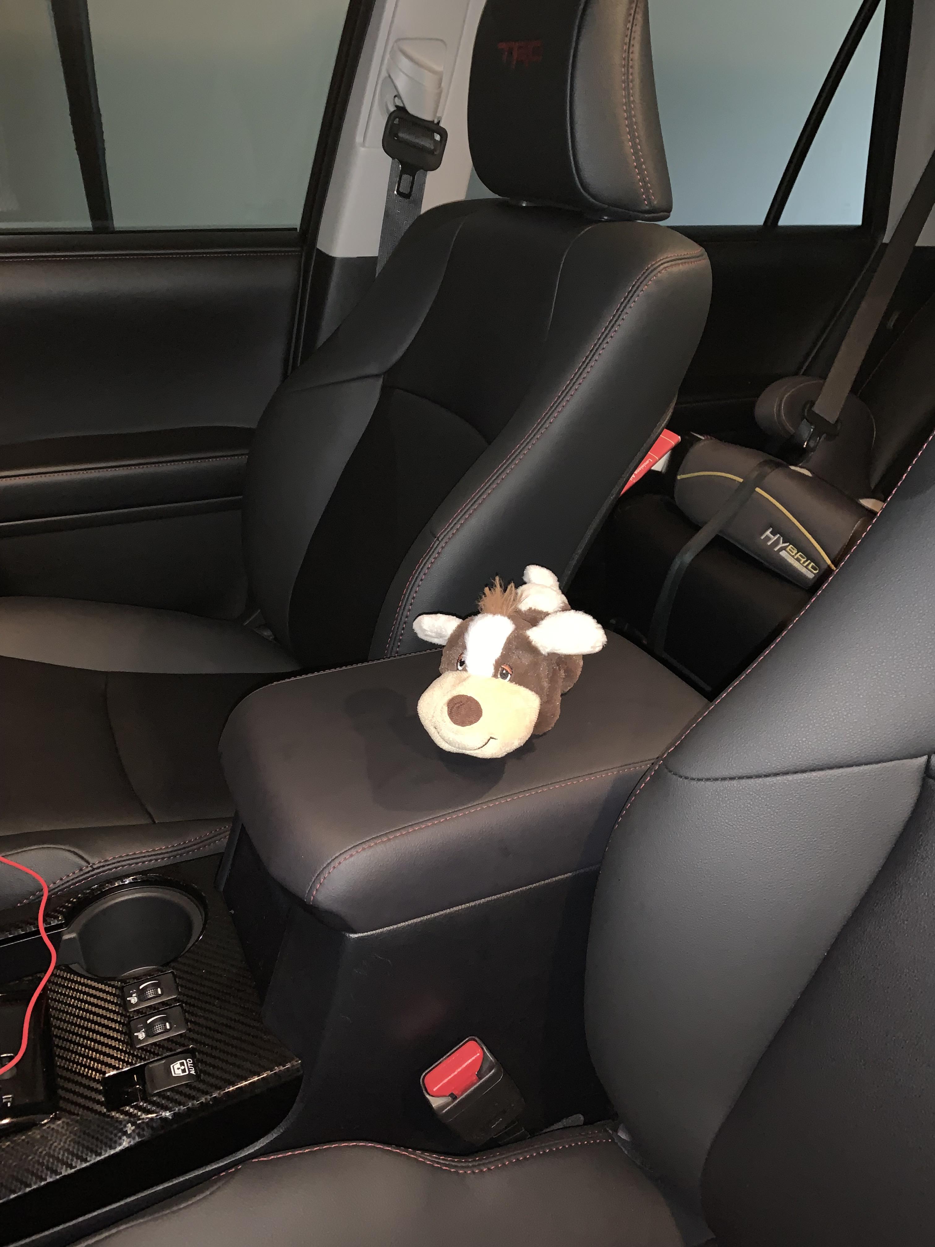 Dog in a 4Runner! 🐶 r/4Runner