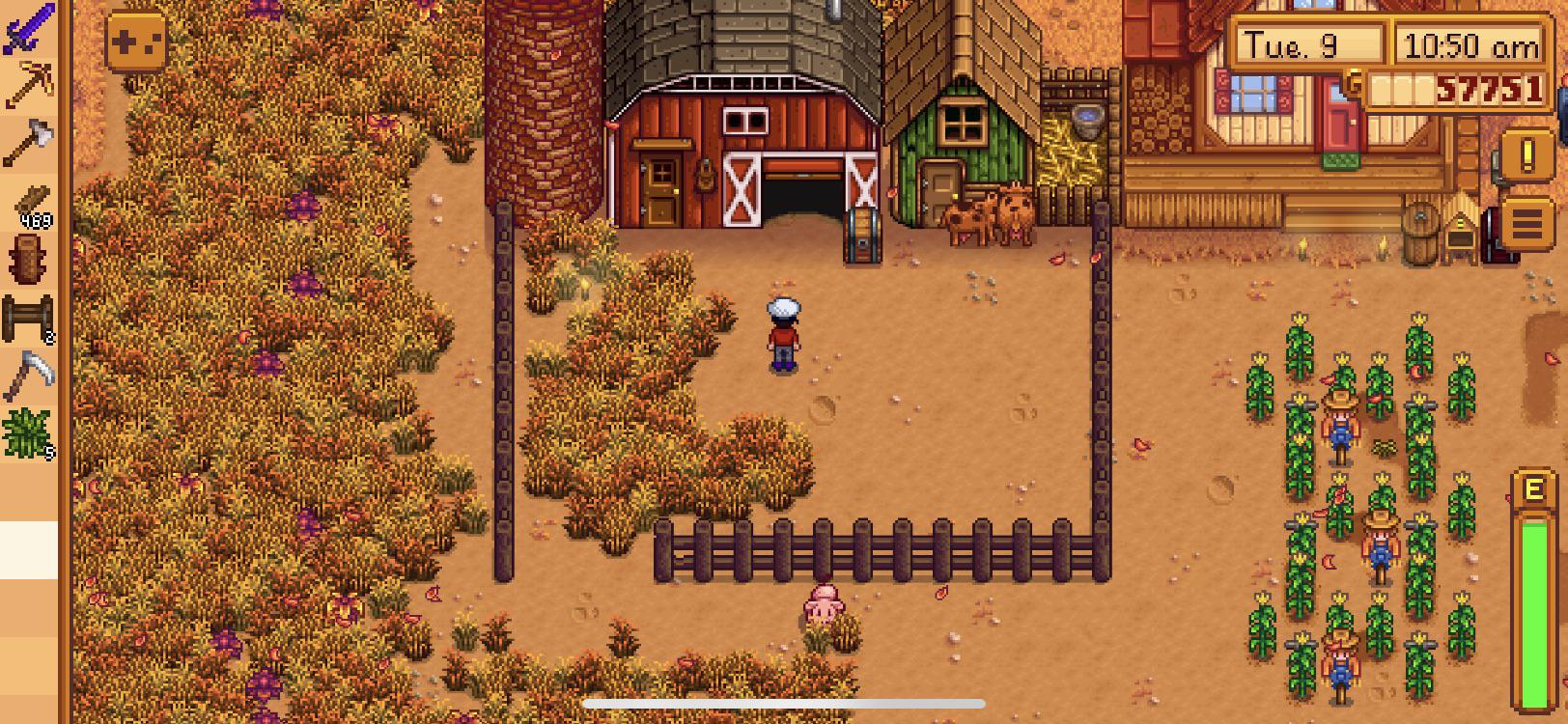 Is this big enough for pigs to find truffles? I’m new to the pig thing