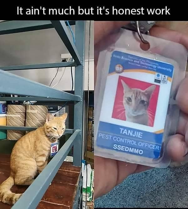 Blessed Pest Control Officer r/blessedimages