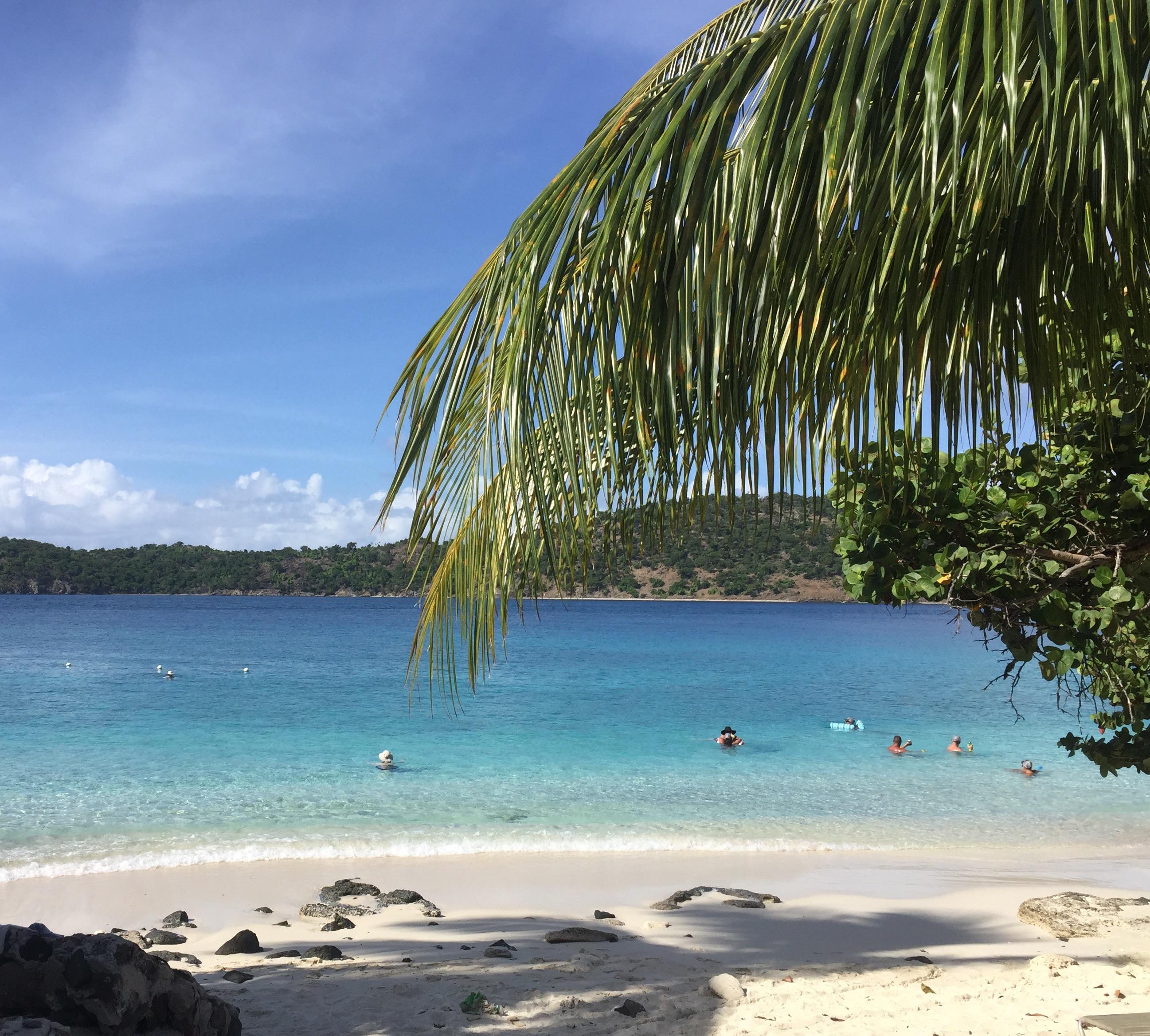 Coki Beach St. Thomas USVI. My favorite beach hands down, great for