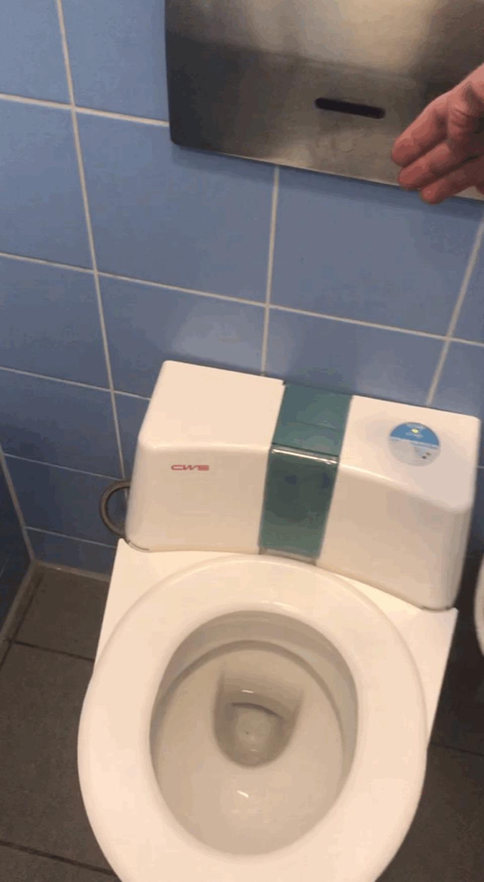 A self cleaning toilet seat, found in a German service station. r