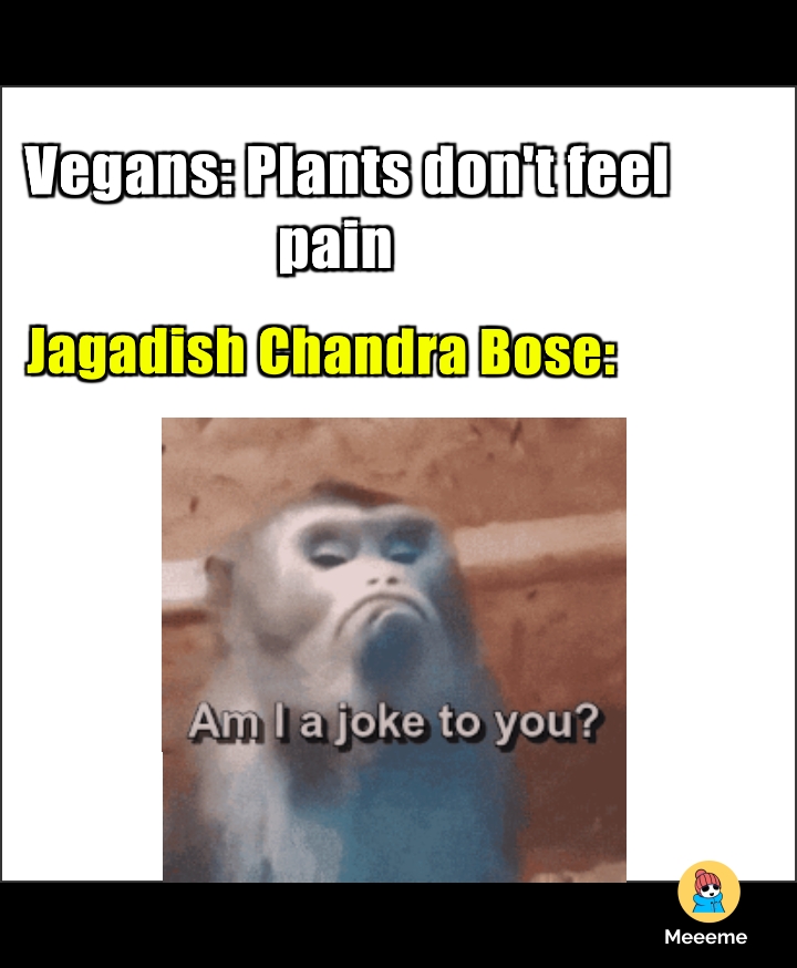 Plants don't feel pain........... r/memes