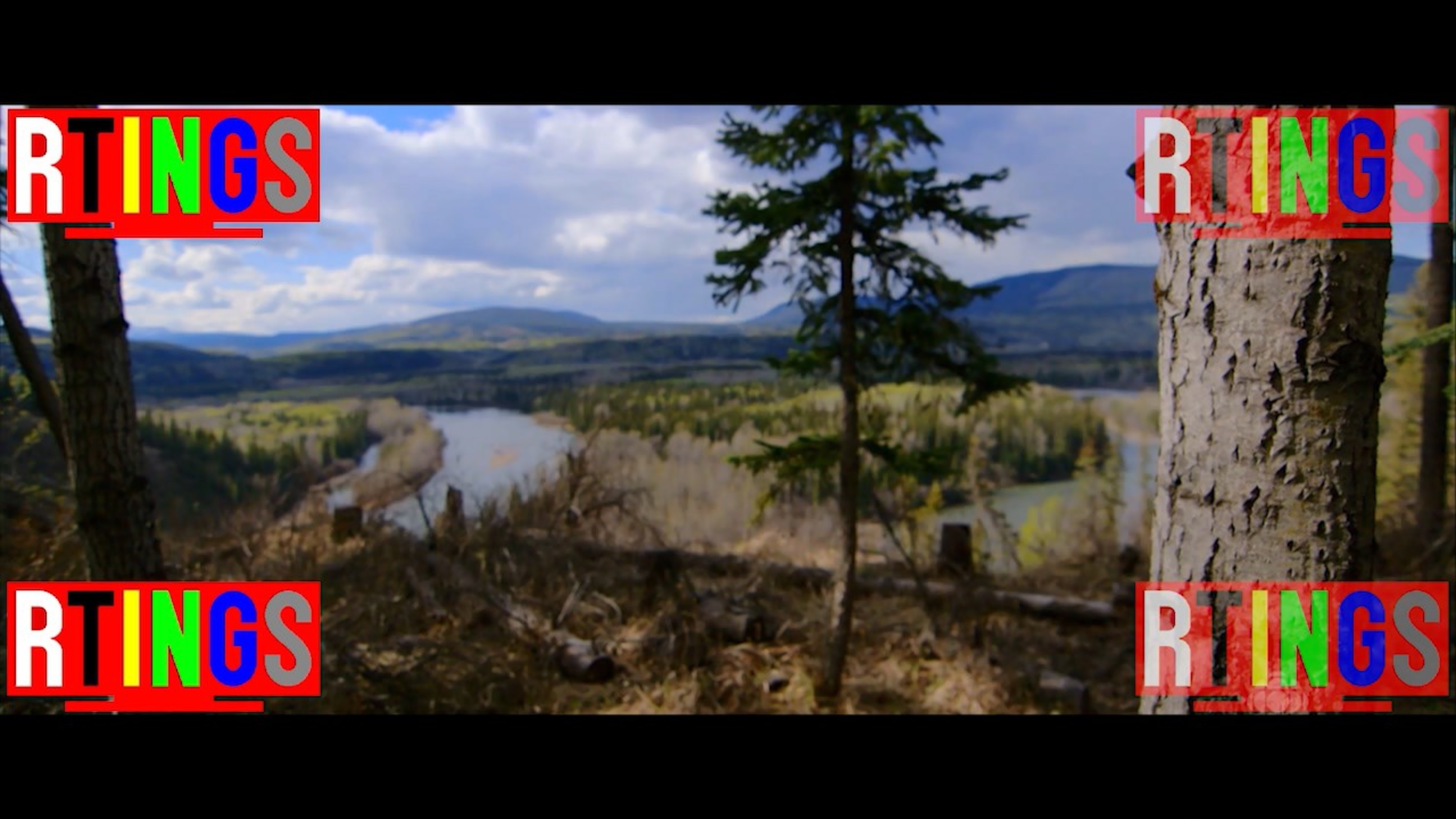 20/7 BurnIn Test OLED vs LCD VA vs LCD IPS