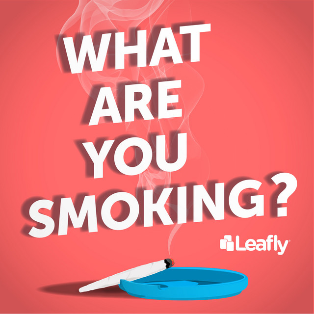 What Are You Smoking Podcast on Spotify