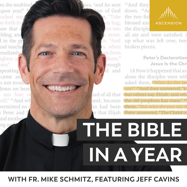 The Bible in a Year (with Fr. Mike Schmitz) Podcast on Spotify