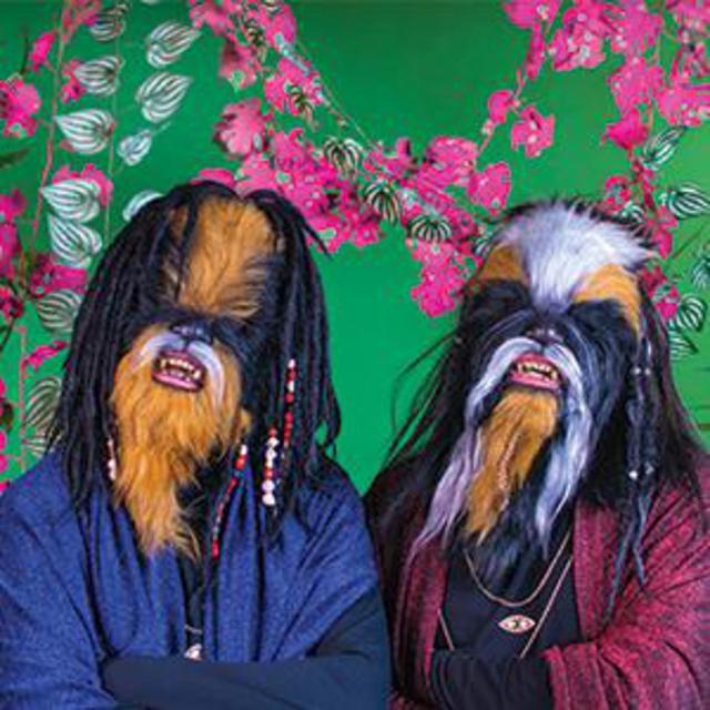 The Wookies on Spotify