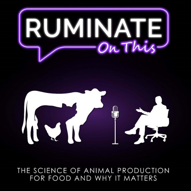 Ruminate On This Podcast on Spotify
