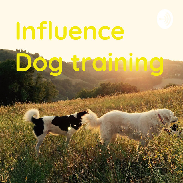 Influence Dog training Podcast on Spotify