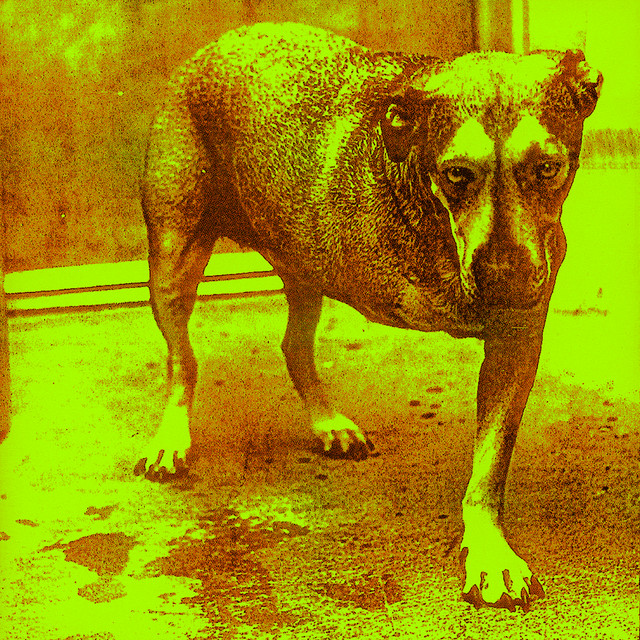 Alice in Chains Album by Alice in Chains Lyreka