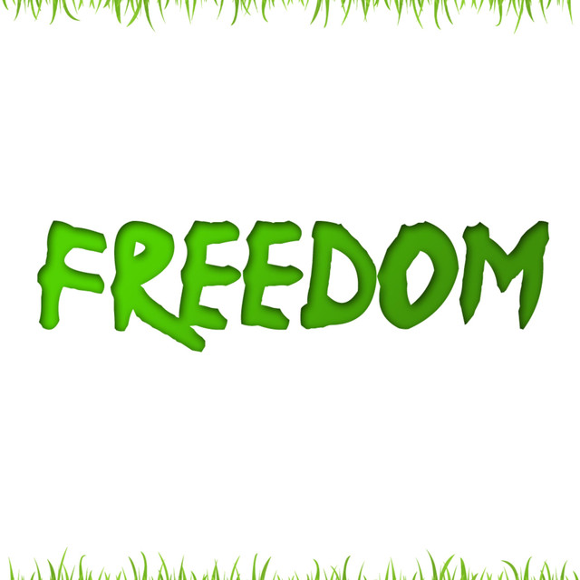 Die Ultimative Freedom Hymne! by Lukas, Der Rapper on Spotify