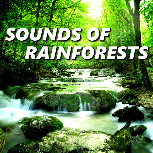 Sounds of Rainforests by Rainforest Sounds on Spotify