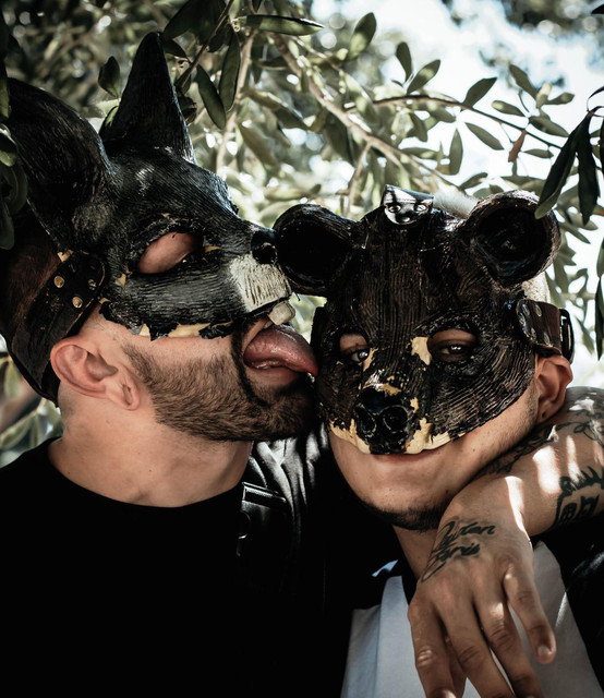 The Bunny The Bear Concerts tour songs, next setlist 2023