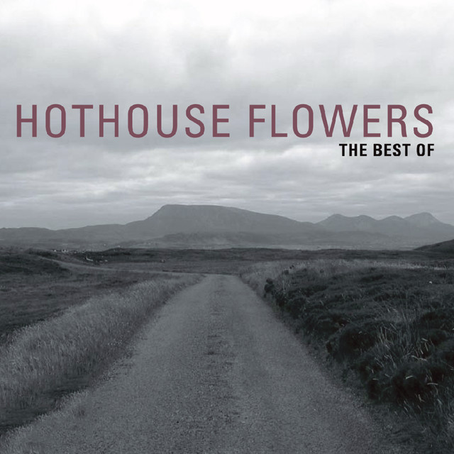 I Can See Clearly Now, a song by Hothouse Flowers on Spotify