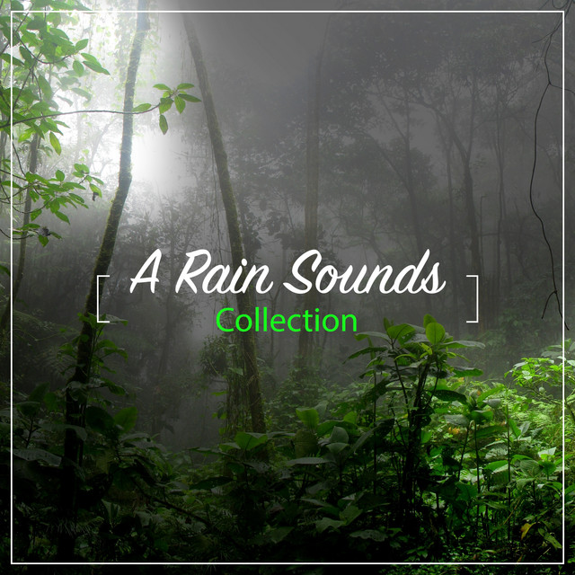 Sleep Ambience on Spotify