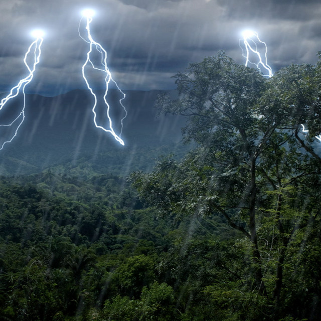 Rainforest Thunder & Rain Sleep Sounds White Noise Relaxing White