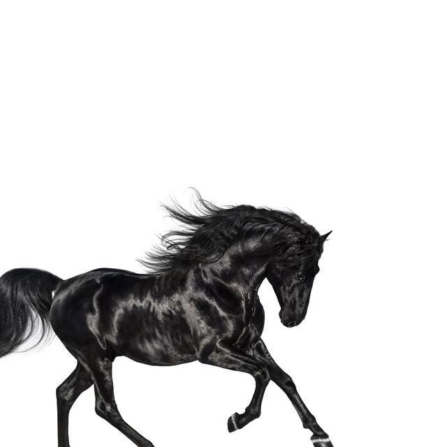BPM and key for Old Town Road by Lil Nas X Tempo for Old Town Road
