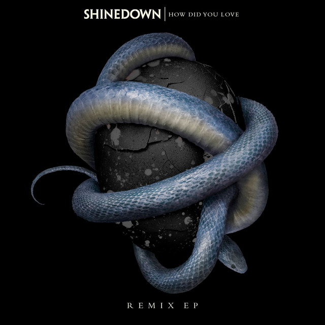 How Did You Love (Remixes) Album by Shinedown Lyreka