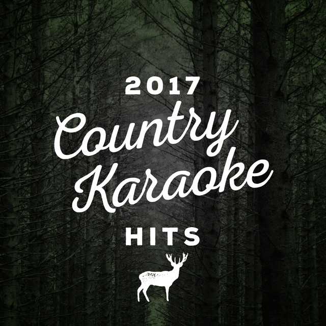 2017 Country Karaoke Hits by 2017 Karaoke Hits on Spotify