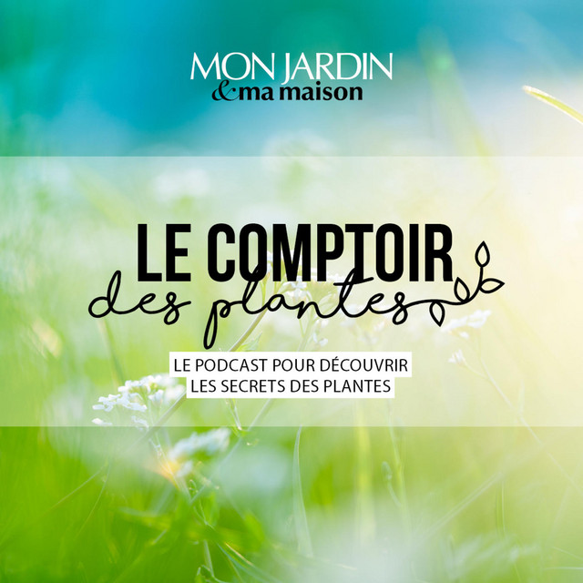 Le comptoir des plantes Podcast on Spotify