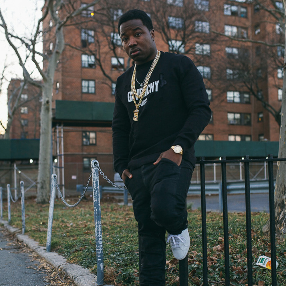 Troy Ave on Spotify