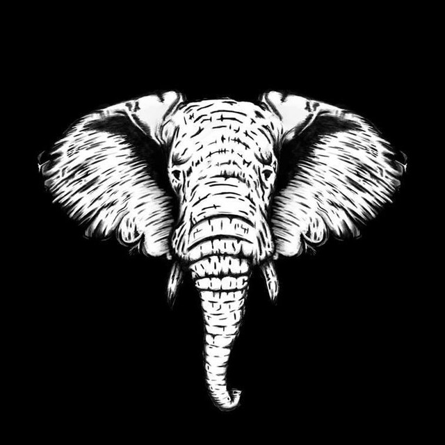 Confetti Concerts tour songs, next setlist