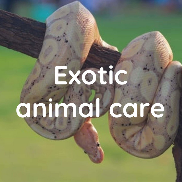 Exotic animal care Podcast on Spotify